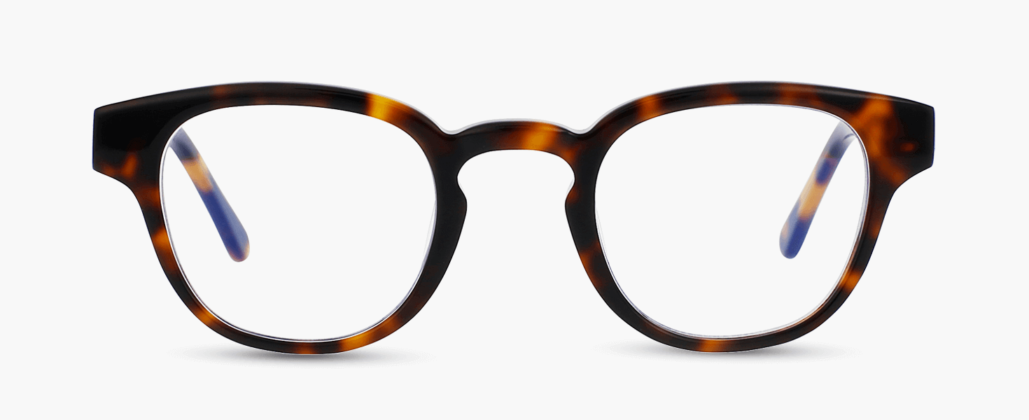 O°15 | Tortoise