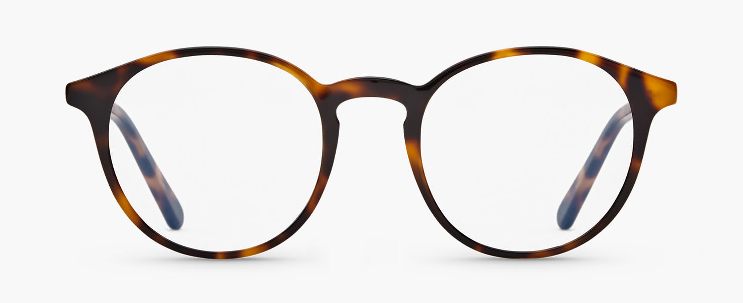 O°1 | Tortoise