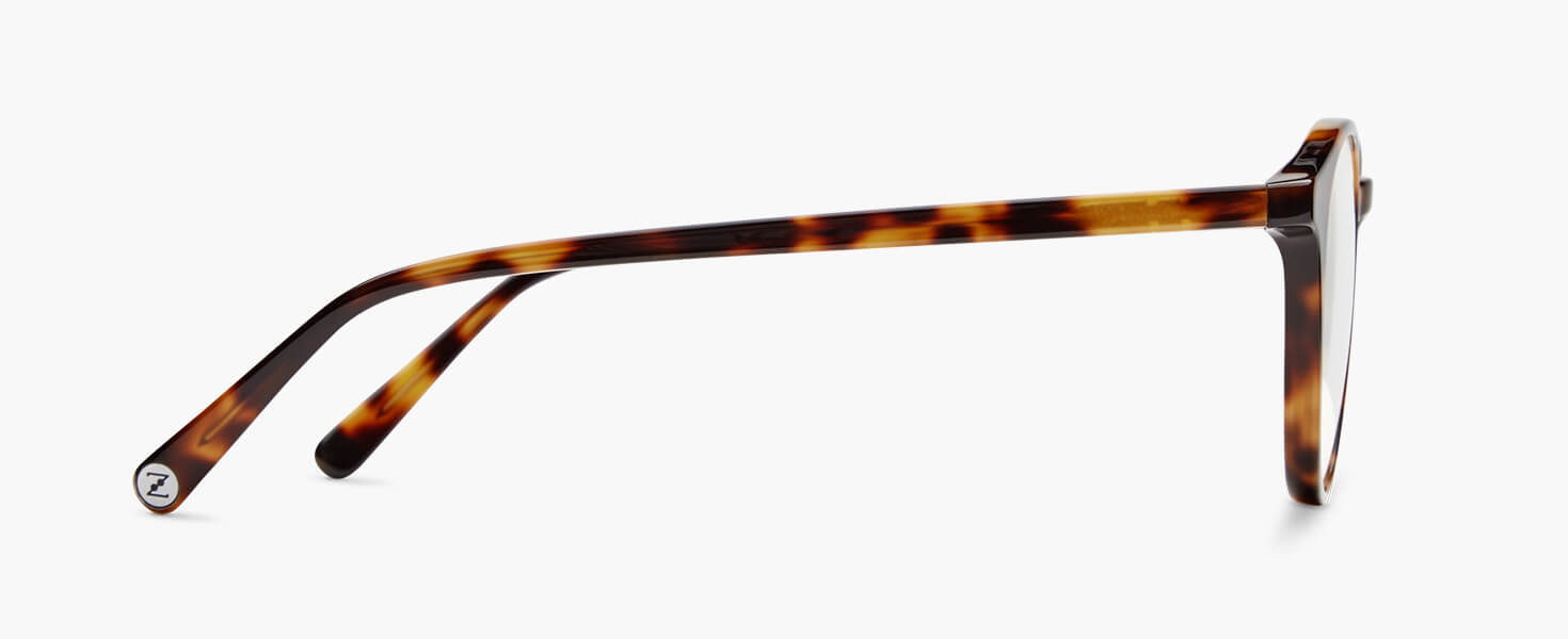 O°1 | Tortoise