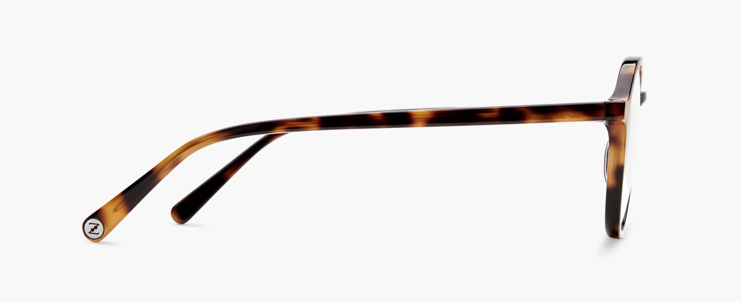 O°6 | Tortoise