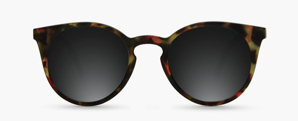 C°4 | Tortoise - Grey