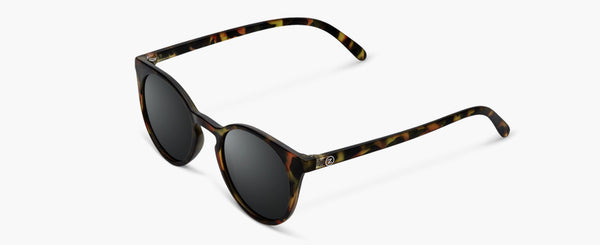 C°4 | Tortoise - Grey