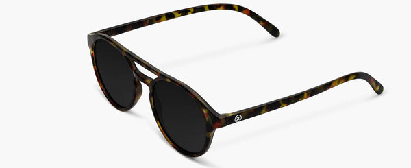 C°3 | Tortoise - Grey