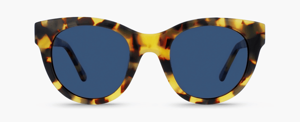 H°10 | Yellow tortoise - Smoke Blue