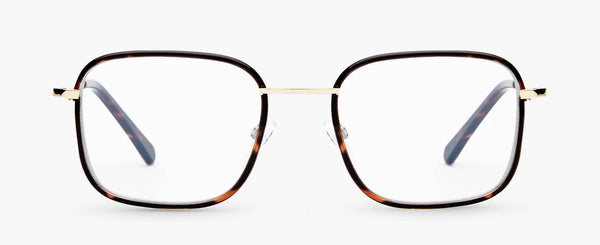 O°12 | Or - Tortoise