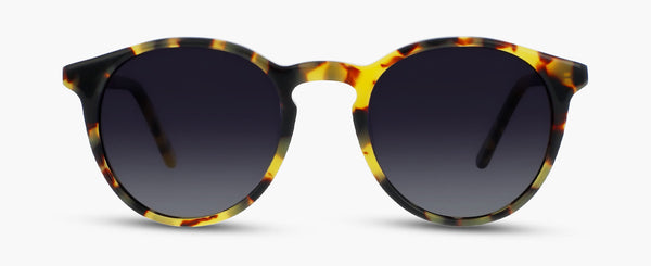 P°1 | Yellow Tortoise - Gradient Grey