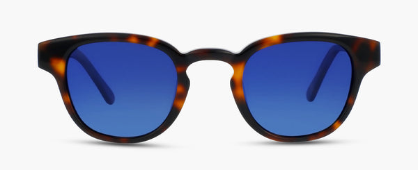 P°12 | Tortoise - Gradient Blue