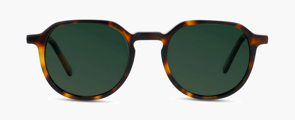 P°13 | Tortoise - Smoke Green