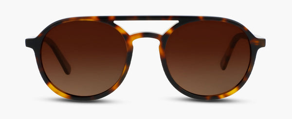 P°14 | Tortoise - Gradient Brown